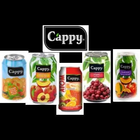Jus de fruits en brique