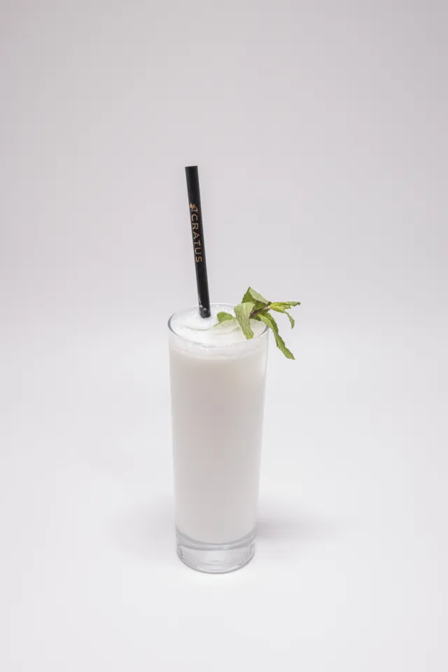 Ayran maison